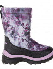 ������ ��� ��������� � ������� BOOTSY K22120 C (06020 (����������--���������))